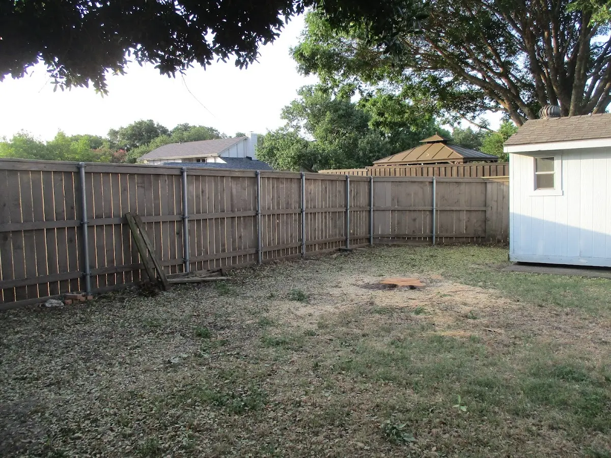 Cleared yard after professional tree removal in Ringgold